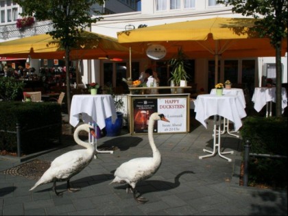 Photo: Centralhotel Binz